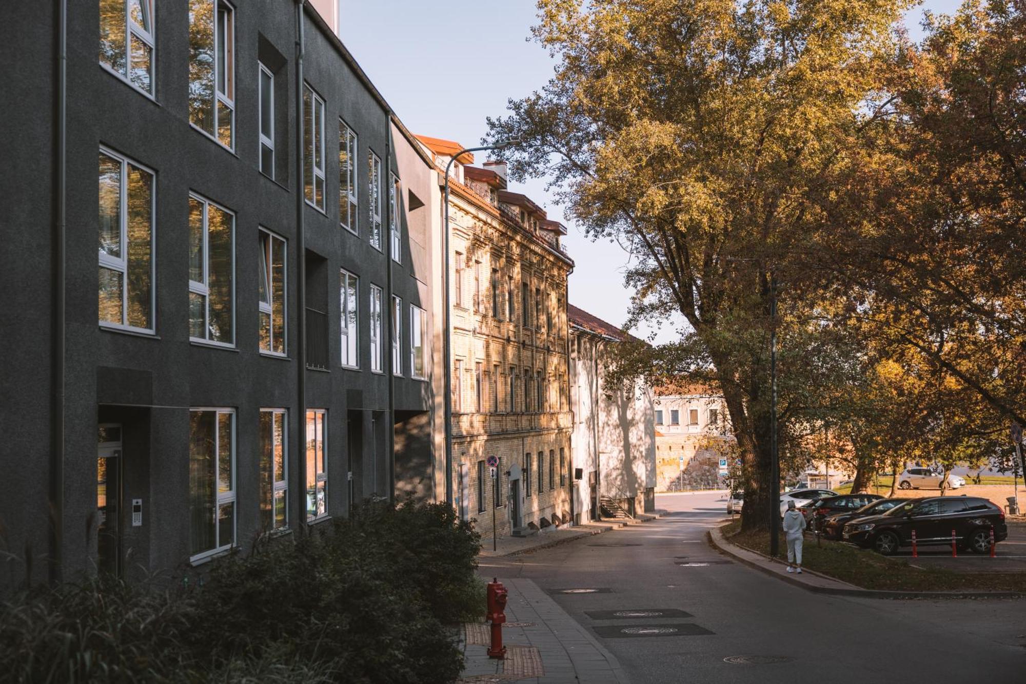 Ivis House Modern Apartment In Vilnius Old Town With Balcony Bagian luar foto